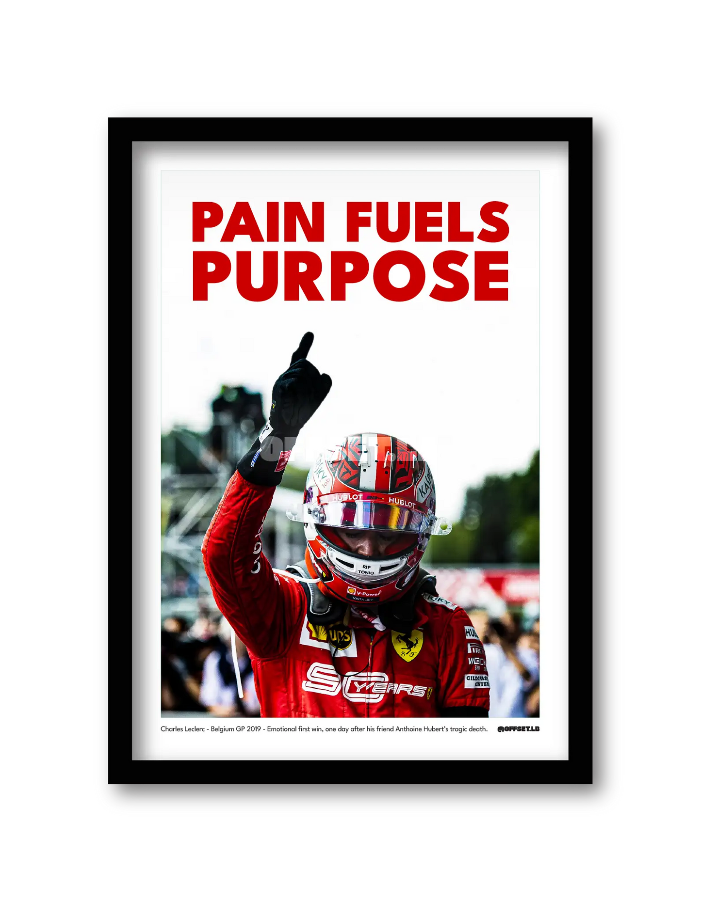 PAIN FULES PURPOSE