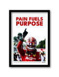 PAIN FULES PURPOSE
