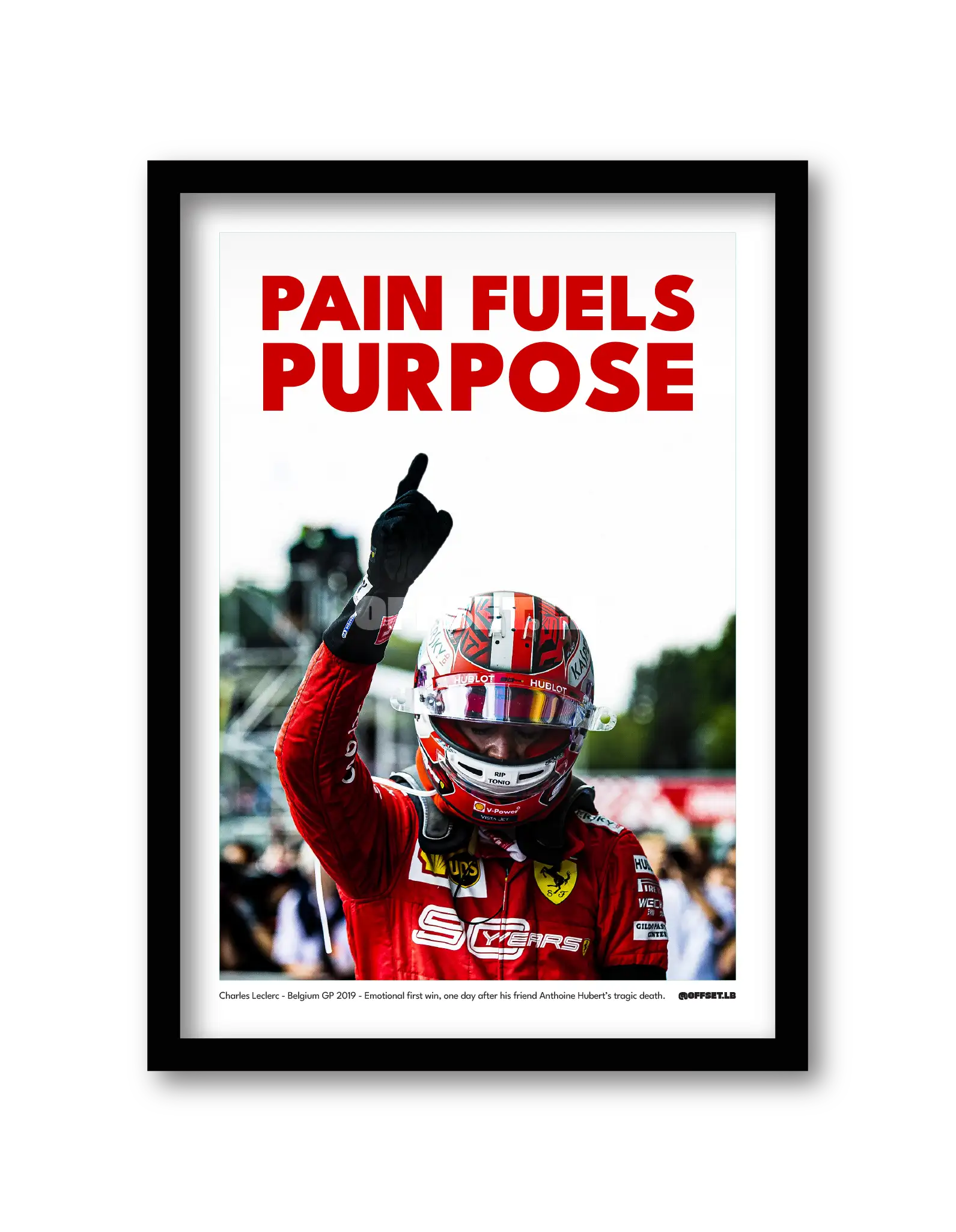 PAIN FULES PURPOSE