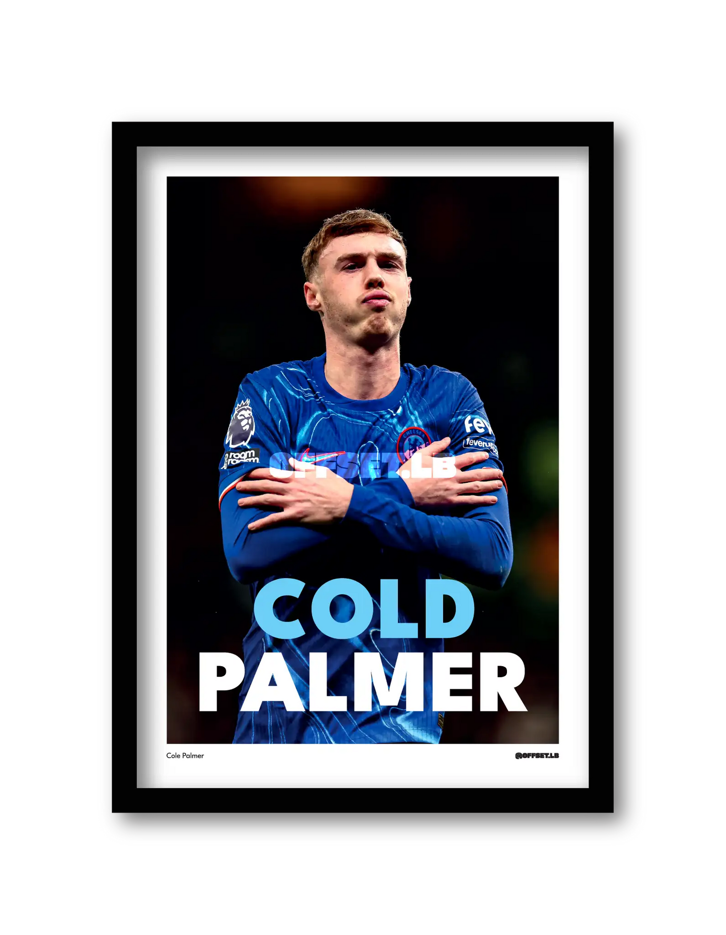 COLD PALMER