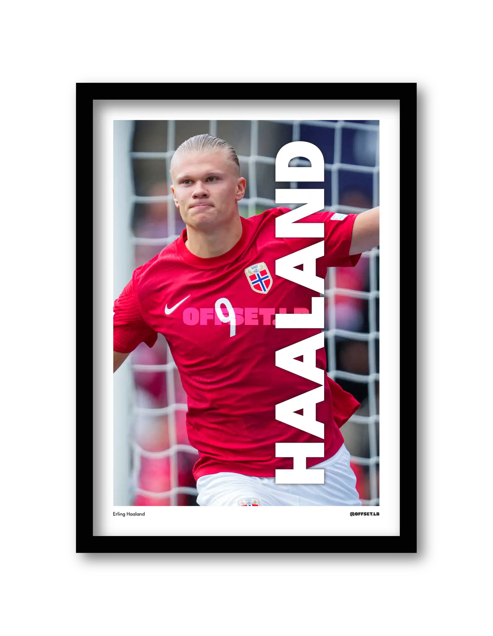 HAALAND